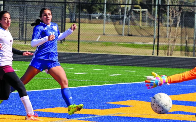 Sentinel photo/Mike Reddell Ladycat sophomore forward Andrea Perez (16) drives in a goal past the outstretched arms of the Columbia Lady Necks’ goalie at Memorial Stadium Saturday, Feb. 5. Bay City posted its 10th shutout of the season in the 8-0 victory.