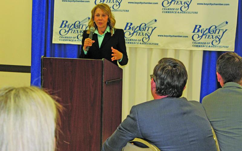 Sentinel photo/Jessica Shepard State Senator Joan Huffman (R-Houston) talks about the next legislative session and Matagorda County, which will be in her new senate district.