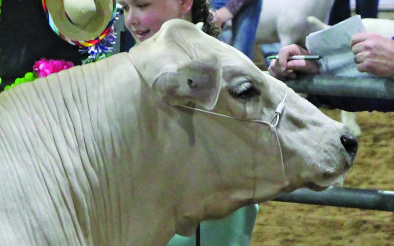 Sentinel photo/MaLinda Reddell Kayden Gray, also a Van Vleck FFA member, sold his 1,480-pound Reserve Grand Champion for $7,000.
