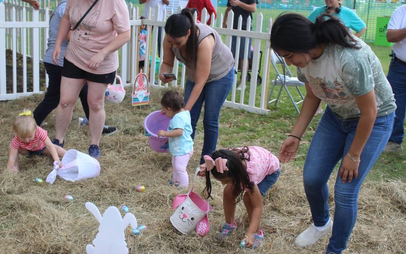 Parents got to lend a hand in helping toddlers find their six Easter eggs in the hay at the Bay City Parks and Recreations Department's annual Easter egg hunt, Friday, April 15. Sentinel photo/Jessica Shepard