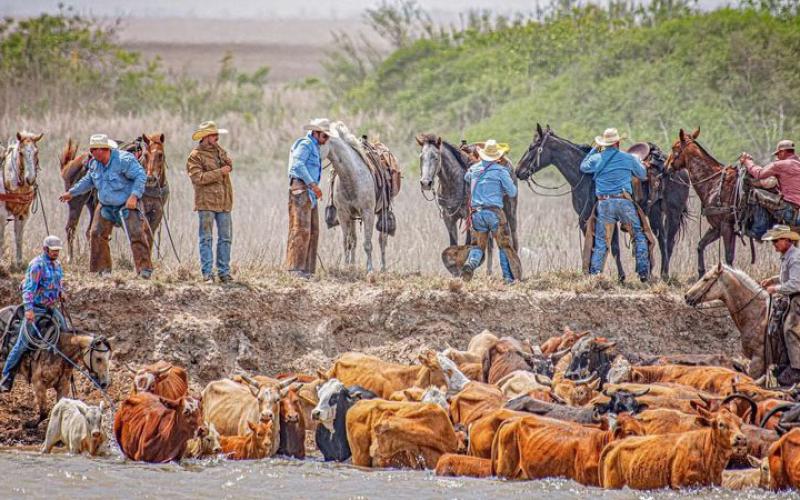 Photo courtesy of Stephanie Janacek Roe Cowboys mount up for next step in the Spring Huebner cattle drive across Colorado River.