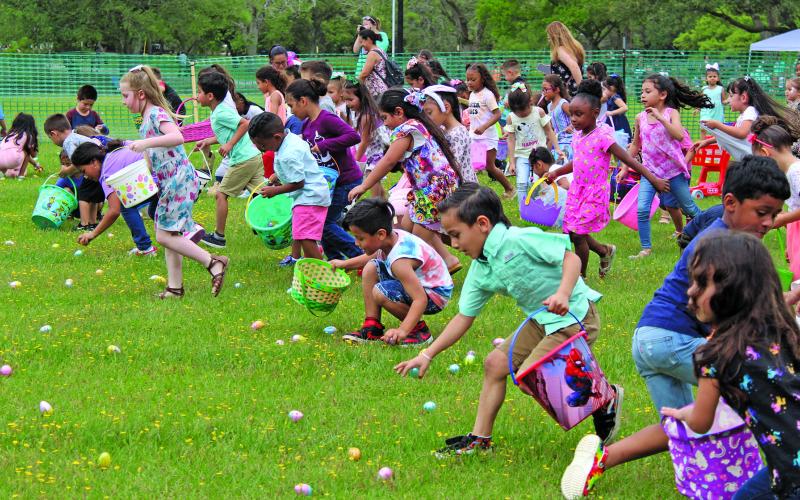 Five year olds make a dash to find prize eggs at this year’s Bay City Parks and Recreation Department annual Easter Egg hunts Friday, April 15. Sentinel photo/Jessica Shepard