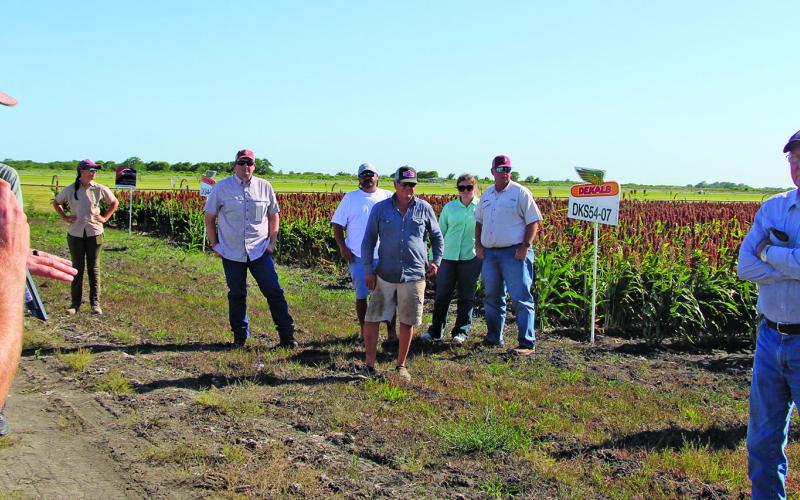 Sentinel photo/Mike Reddell An AgriLife agronomist discusses challenges affecting a grain sorghum field in southern Matagorda County during a crop tour Thursday, June 23.