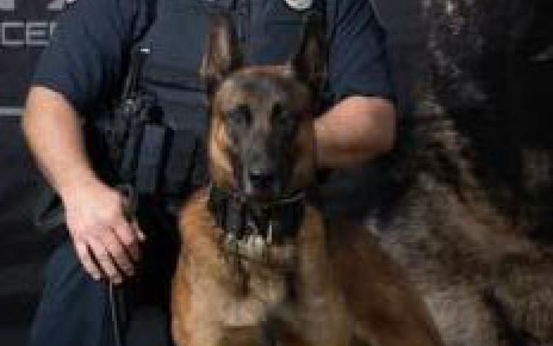 Photo from BCPD