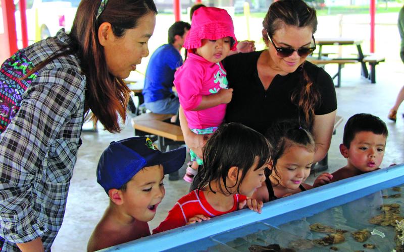 Sentinel photo/Mike Reddell There were plenty of ways to capture the interest of children at the Bay City Parks &amp; Recreation Summer Kick-Off at Amistad Park Saturday, June 4. Kids - and their mothers - were drawn to the antics of crabs and other sea creatures in a touch tank provided by Texas Parks &amp; Wildlife Department