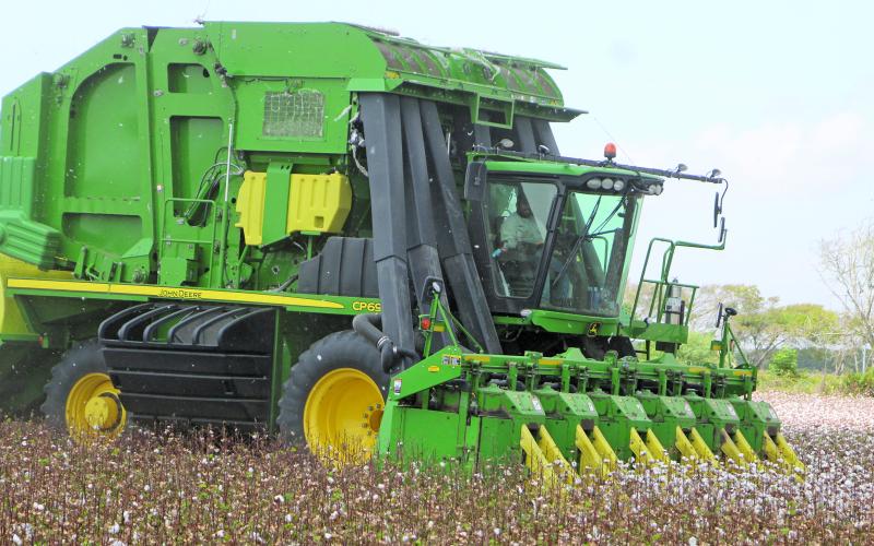 This 6-row cotton harvester was one of many cotton-picking machines working the fields west of the Colorado River last week. This particular field was along FM 1095 between Ashby and Tin Top. Sentinel photo/Mike Reddell