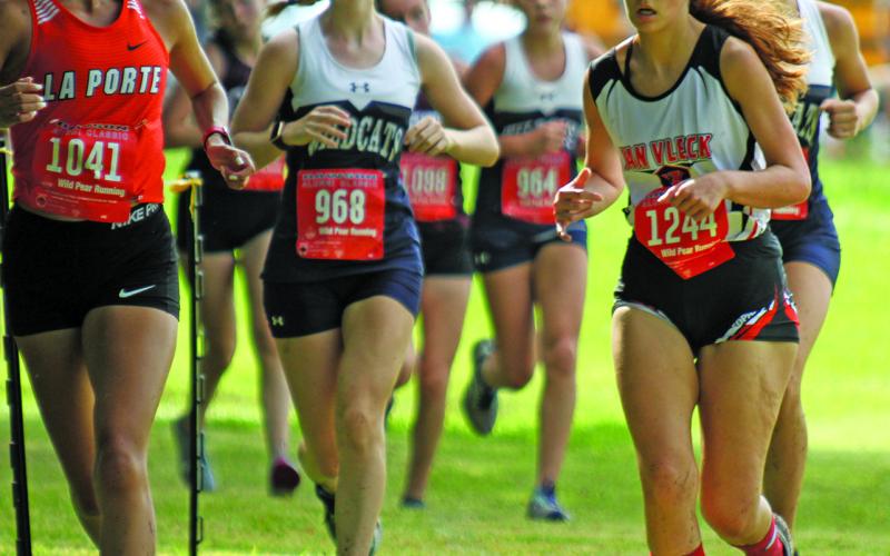 Photo by Anna Hernandez Van Vleck Cross Country runners competed in their first cross country meet in Pearland last week. Van Vleck’s Abby Carnicle, (above No. 1244), makes good time keeping up with the pack.  Juan Amezquita (1239) and Noah Cassle (1240) keep up the pace.