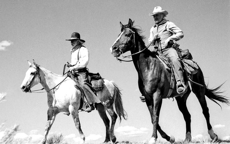Palacios Area Historical Association Palacios Area Historical Association will present an exhibition on Lonesome Dove.