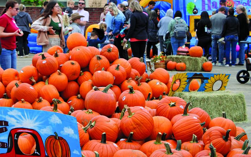 Sentinel photo/MaLinda Reddell Pumpkins ruled the day at the annual Sunshine and Rainbows Pumpkin Patch celebration Saturday, Oct. 29, at First United Methodist Church. There were several carnival-like attractions.