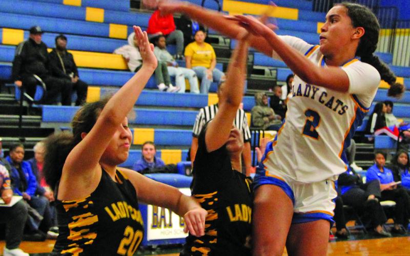 Sentinel Photo/Mike Reddell