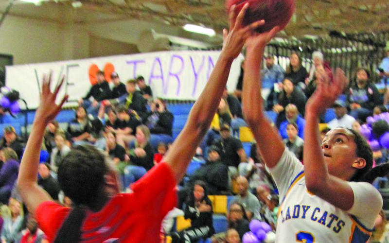 Sentinel Photo/Mike Reddell