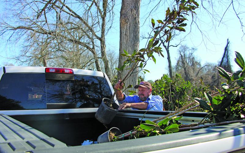 Sentinel Photo/Mike Reddell Scenic Texas and the City of Bay City gave away hundreds of trees at the free tree giveaway at Riverside Park Saturday, Jan. 14.