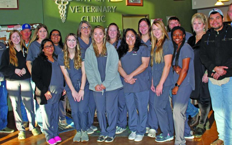JSL photo Bay City Veterinary and Equine Hospital
