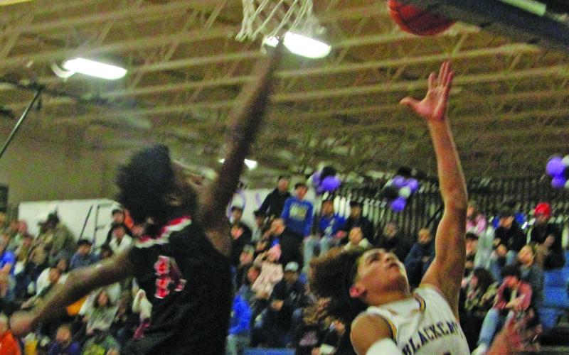 Sentinel Photo/Mike Reddell