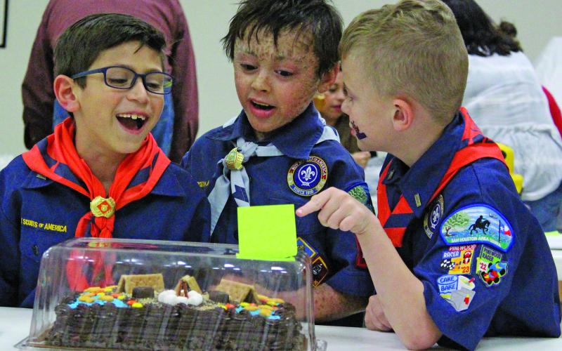 Sentinel Photo/Jessica Shepard Bay City Cub Scout Pack 4545 raised over $4,200 in its annual cake auction fundraiser Friday, March 24. This trio of scouts enjoyed looking at all of the entries and pointed to one cake decorated with a campfire scene.