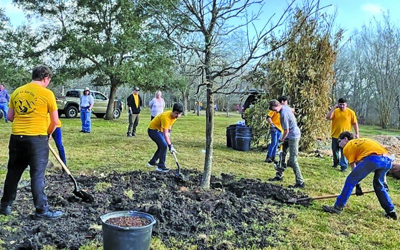 Contributed phoio Scouts plant new trees at the Birding Nature Center as part of Scout Curtis Goodman’s Eagle Scout project.