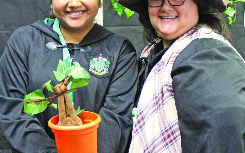 Sentinel Photos/Jessica Shepard Bay City Public Library hosted its second annual "Harry Potter Day" on March 16. The event featured a "Build Your Own Mandrake" Herbology class with BCPL's Youth Specialist Pamela Burrell, right, and a Slytherin student helper.