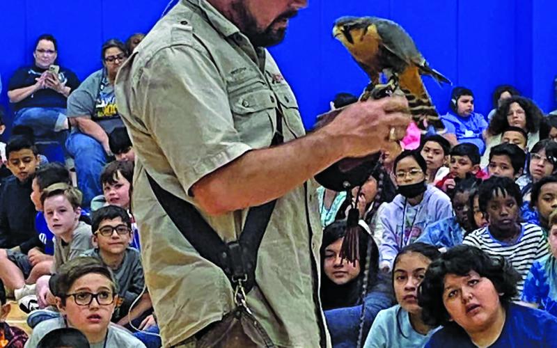 BCISD photo Birds to Prey visited the students of Tenie Holmes Elementary with a special presentation.