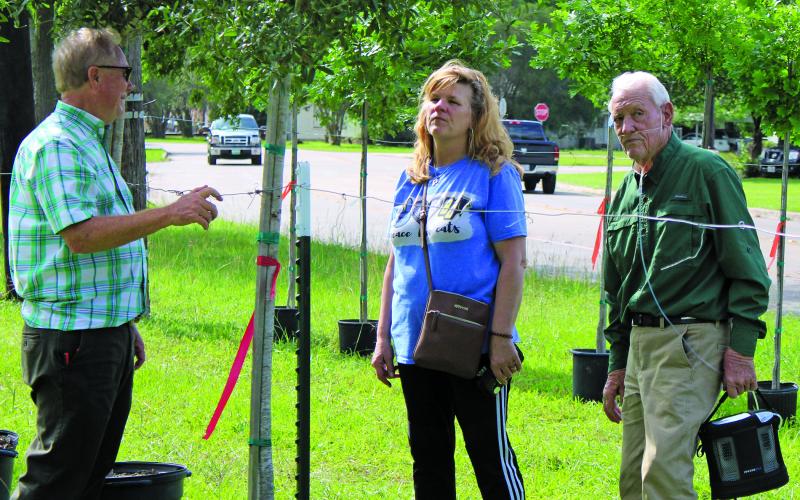 Sentinel Photo/Jessica Shepard Father and son duo Lamar and Craig Evans help one woman choose the size and type of oak trees to purchase during the “59th Annual J.C. Lewis Oak Memorial Tree Sale” Friday, April 21. The tree sale is hosted by the Bay City Chamber of Commerce &amp; Agriculture in conjunction with Earth Day every April.