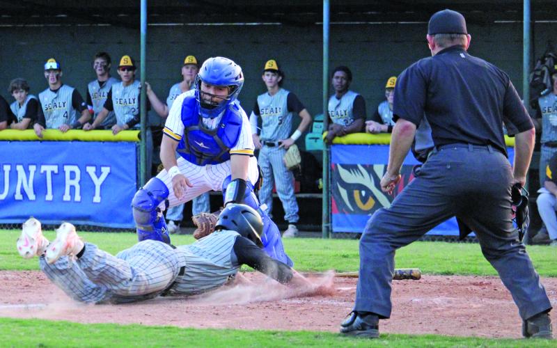 Sentinel Photo/Mike Reddell