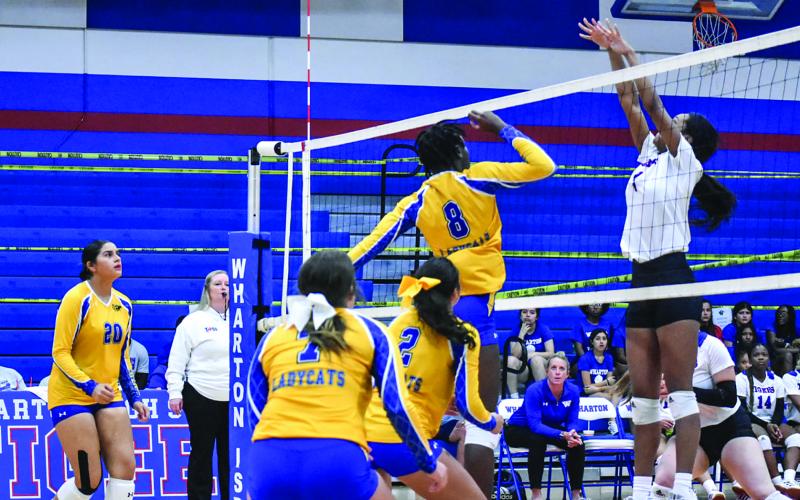 BCISD photo The Bay City Ladycat volleyball team played in a recent tournament at Wharton.