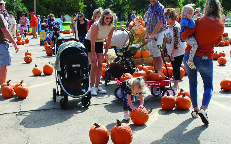Sentinel photo/Jessica Shepard Sunshine and Rainbows held its annual fall "Pumpkin Patch" fundraiser Saturday, Oct. 7. Amidst rows of pumpkins, children like the little girl above, were eager to pick out their favorite gourds themselves. Other event features were face painting, pumpkin painting, bounce houses and other carnival games.