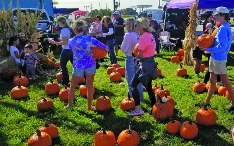Sentinel Photo/Mike Reddell A pumpkin patch was among the most popular attractions at Matagorda Day Saturday, Oct. 14. There also was the annual parade, fajita contest, children’s activities and live auction. The event supports the Matagorda Volunteer Fire Department.