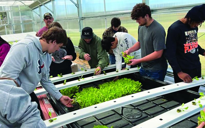 VVISD photo VVISD greenhouse kids.