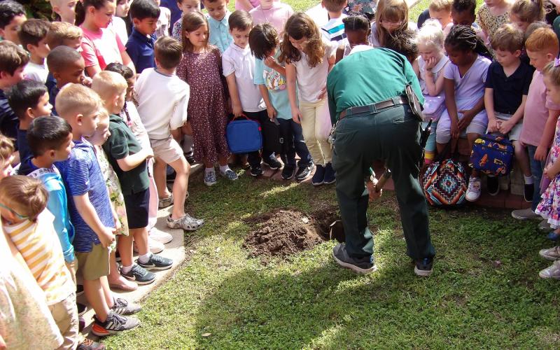 Holy Cross Catholic School  After Easter, Holy Cross Catholic School staff and students went out near the prayer garden to resurrect the Alleluia, which was buried the day before Lent began. The hymn 'Alleluia' was then sung in remembrance of our Lord's Resurrection, and the service ended with a brief prayer.