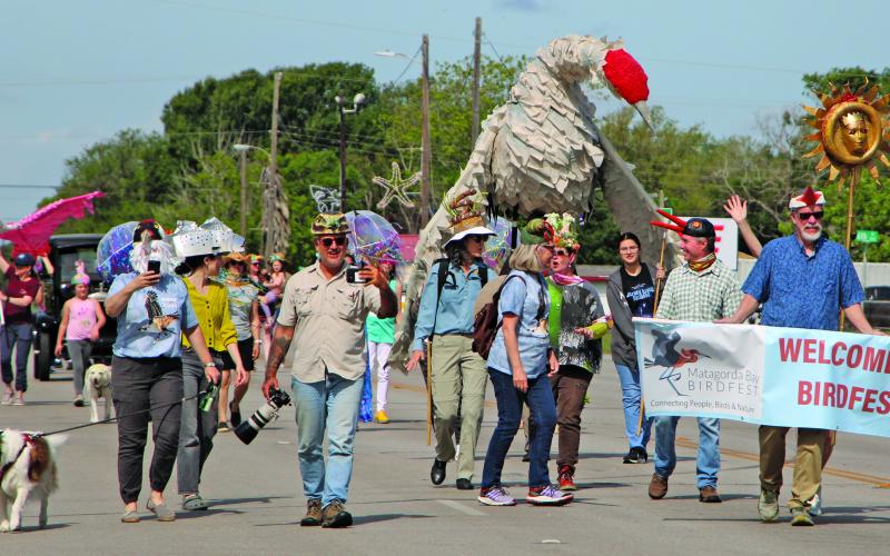 This flock of people led off the 8th Annual Matagorda Bay Birdfest 2024 Parade of Birds in downtown Palacios Saturday, April 13. The yearly educational event kicked off with bird tours Friday and a keynote dinner at the Palacios Educational Pavilion. Saturday included more bird tours, the parade, a Matagorda Magic book signing, plus a raptor display and speaker sessions. Sentinel Photo/MaLinda Reddell