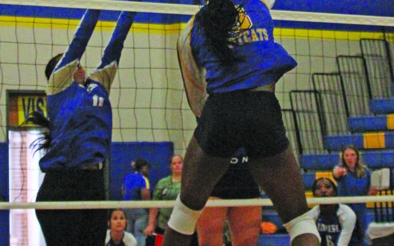 Anna Hernandez photo  Bay City’s Sasha Onweckekwa (8) strikes the ball past the Louise defenders at the net in a recent game.