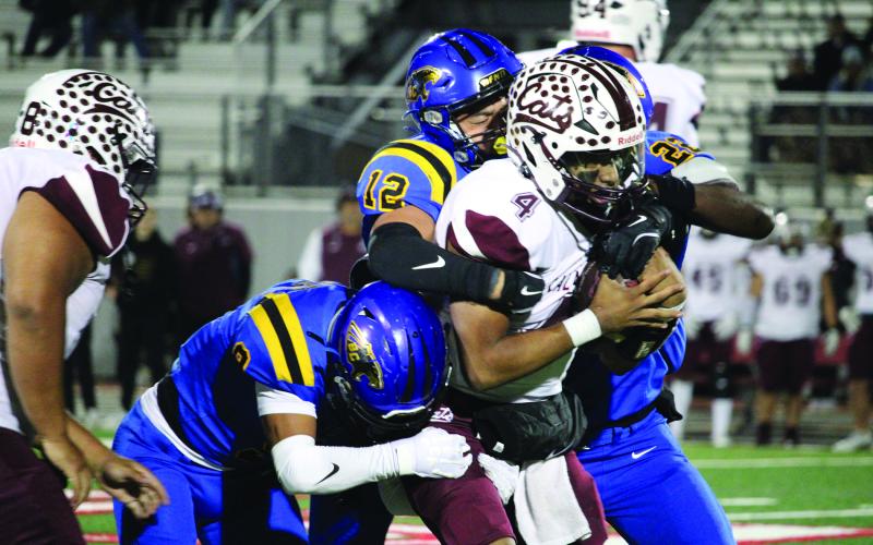 Sentinel Photo/Mike Reddell Blackcat strong safety Isaiah Gonzales (9) Jaden Malone (12)  and linebacker James Copeland (22) work together to tackle a Calallen runner.