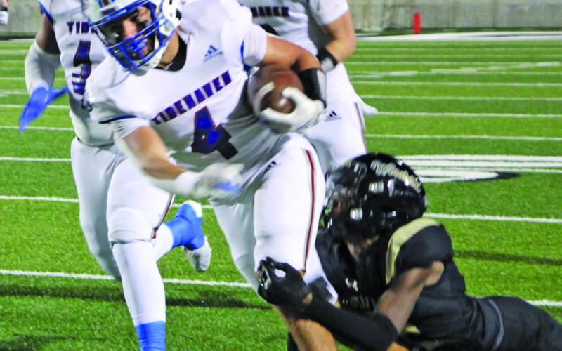 Sentinel Photo/MaLinda Reddell