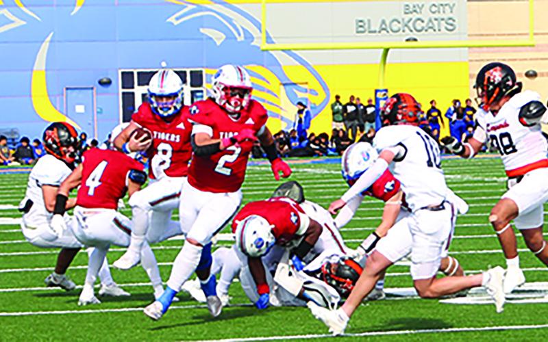 Sentinel Photo/Jessica Shepard Tiger back Jachen Duran (2) leads the blocking for quarterback Kale Russell (8) against Van Vleck last Friday. The onlookers behind them are BCHS students, who will later board buses for their quarferfinal game in Converse.