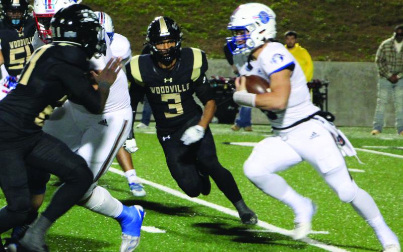 Sentinel Photo/MaLinda Reddell