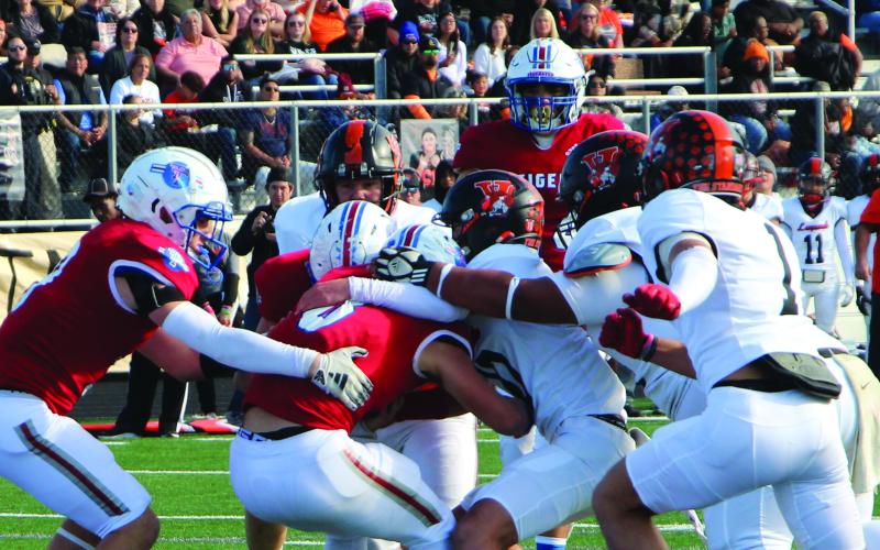 Sentinel Photo/Jessica Shepard Van Vleck defenders attempt to keep Tiger quarterback Kale Russell out of the end zone, while Tiger teammate Jachen Duran (far left) tries to pull him across the goal.