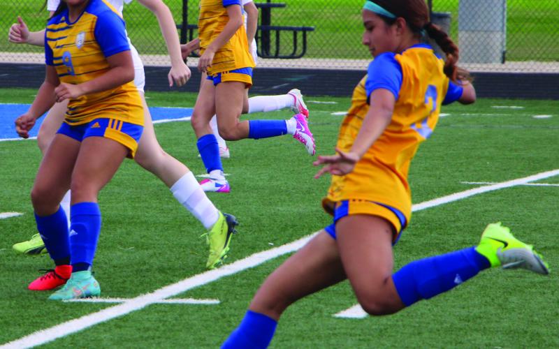 Sentinel Photo/Mike Reddell A Lady Cat takes a shot Saturday against Wharton. The girls won 10-0.