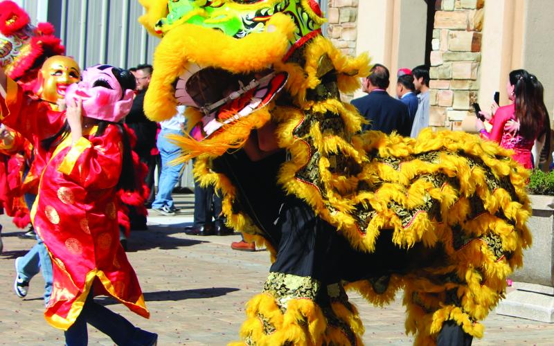 Sentinel Photo/Jessica Shepard Palacios residents celebrated Lunar New Year with a variety of traditional fanfare on Saturday, Feb. 1. The dragon and lion dancers above symbolically drove away bad luck from the previous year and ushered in goodwill for 2025. See more photos from the celebration on Page 8.