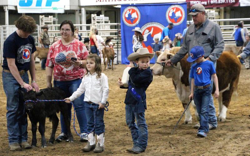 Sentinel photo by Jessica Shepard Over 50 local youth lined up to try their hand at showing off their bucket calves last weekend. The annual Matagorda County Fair &amp; Livestock Association event is geared toward preparing children to show their chosen livestock as they get older.