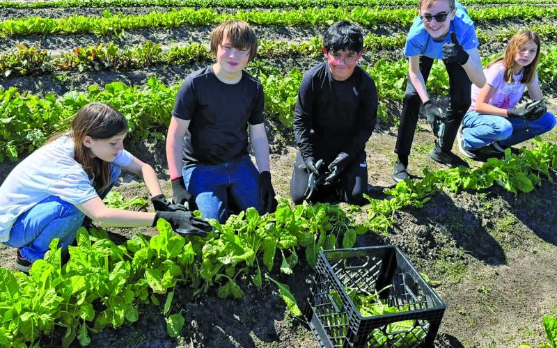 Matagorda ISD photo Matagorda ISD Principles of Ag class have done some heavy garden work the last few days. The kids have been enjoying going outside and learning how to garden.