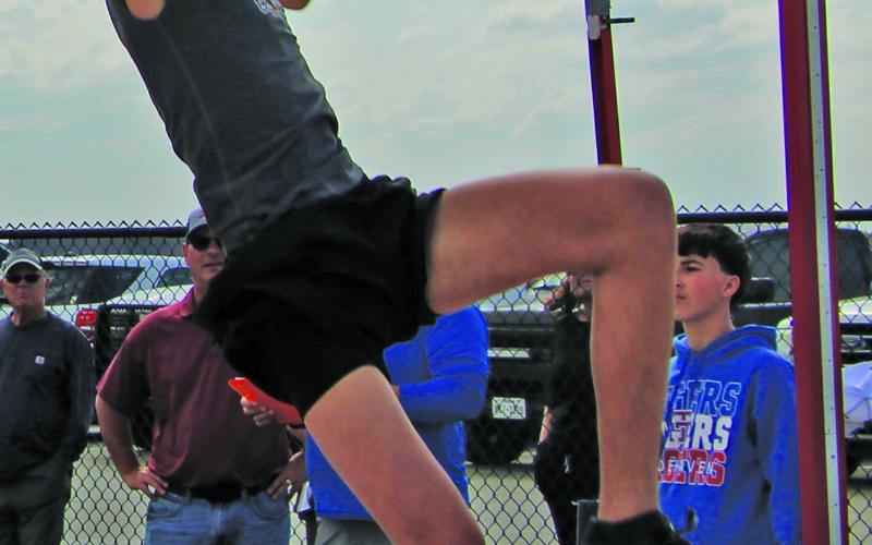 Van Vleck’s pole vaulter Cole Schneider   Sentinel Photo/Mike Reddell