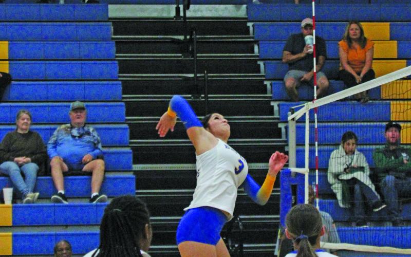 Photo by Anna Hernandez Bay City Ladycat Ameryce Jacques (3) goes up for a solid hit at the net in last week’s game against Boling.