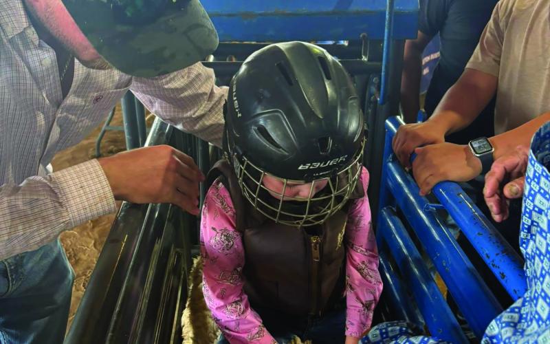 Adelyn Sutherland, age 4 yrs old, gets ready for her turn at the Mutton Bustin’ competition at the Bay City Lions Club Rice Festival Sunday, Oct. 26. It is her dad, Chris Sutherland, who is putting her on the sheep. Courtesy photo