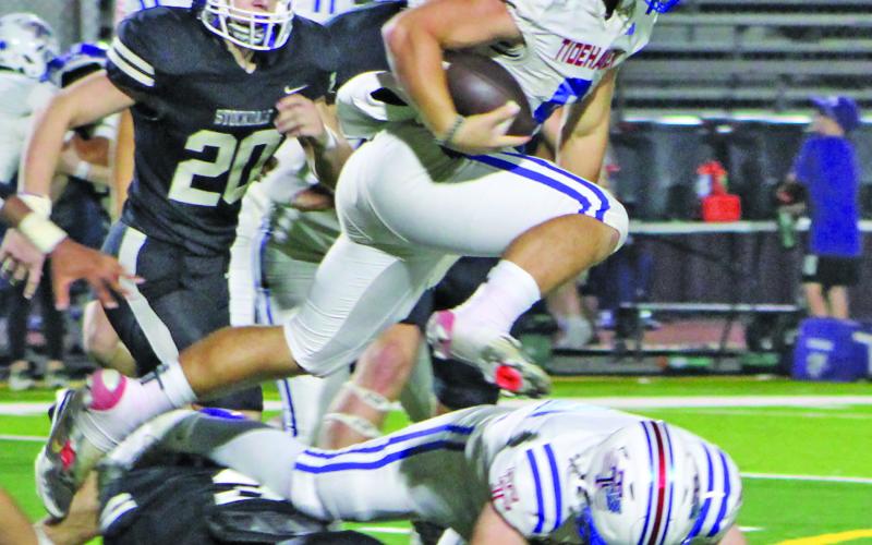 Sentinel Photo/MaLinda Reddell