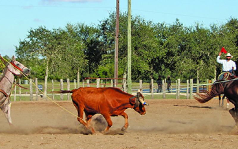 Sentinel Photo/MaLinda Reddell