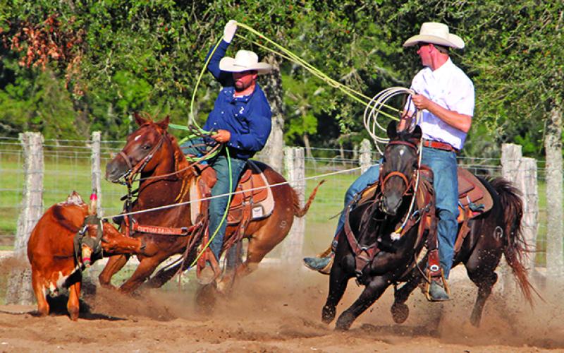 Sentinel Photo/MaLinda Reddell