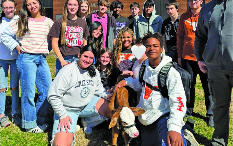 Van Vleck FFA photo Van Vleck FFA: Our Principles of Ag classes ended the week with some hands-on learning &amp; caring for a newborn bottle calf!