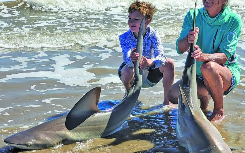Sargent Constable Precinct 6 Bill Orton commented on a recent Facebook post that he and Chief Wesselski thought “it was beginning to look like shark week on Sargent Beach” recently. “Chief Wesselski and I met this young man and his grandfather fishing the surf. Each of them was pulling in a shark at the same time. Definitely a great memory for both of them,” Orton said. Photo/Bill Orton