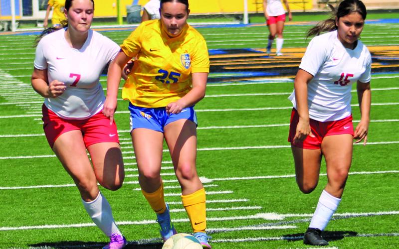 Sentinel photo/Mike Reddell Lady Cat freshman Lilly Wurtz (25) battles Cardinal.
