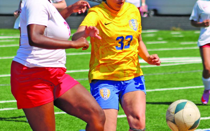 Sentinel photo/Mike Reddell Lady Cat sophomore Valerie Aguilera (33) gains control.